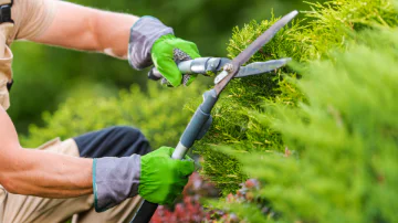 Gardening and Home Maintenance